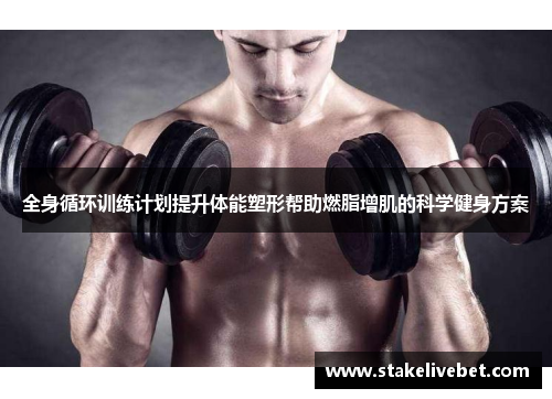 全身循环训练计划提升体能塑形帮助燃脂增肌的科学健身方案