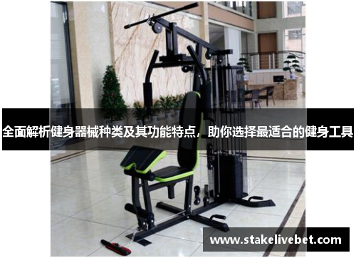 全面解析健身器械种类及其功能特点，助你选择最适合的健身工具